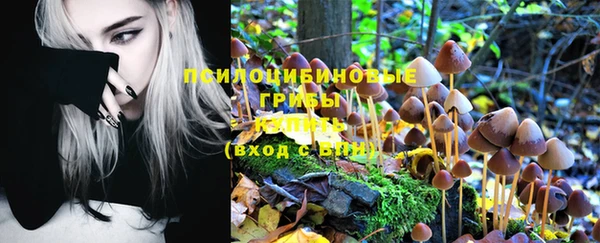 MDMA Снежногорск