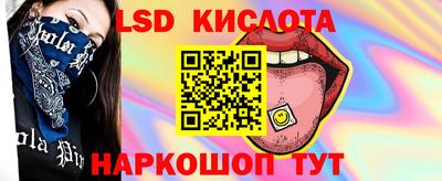 гашик Гусев