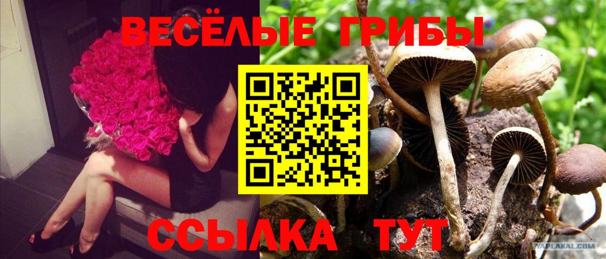 Псилоцибиновые грибы мухоморы Мурино