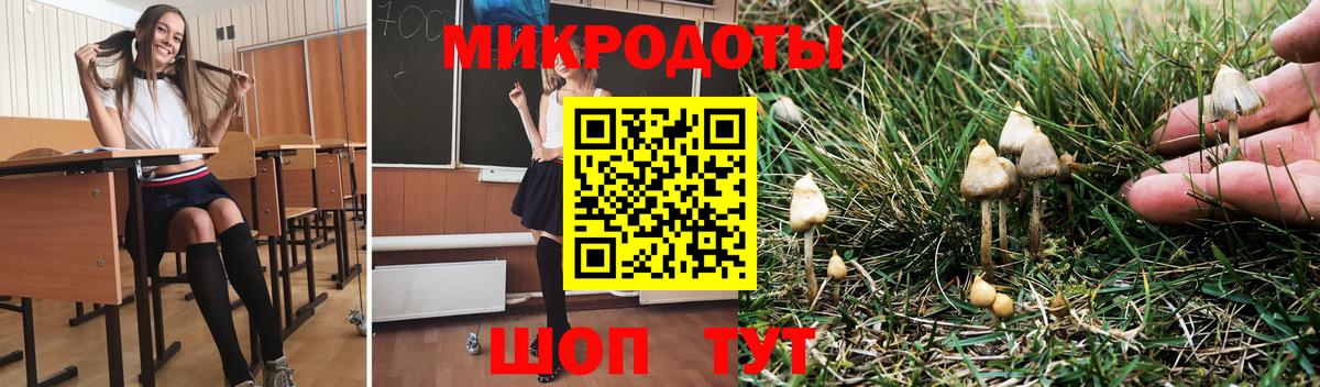 Галлюциногенные грибы Cubensis  Вход с VPN  Галлюциногенные грибы GOLDEN TEACHER  Мурино 